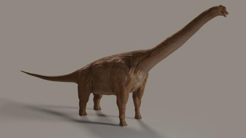 Brachiosaurus-Cycles preview image